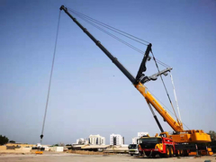 شرکت بازرگانی هونان کینگ وی با مسئولیت محدود